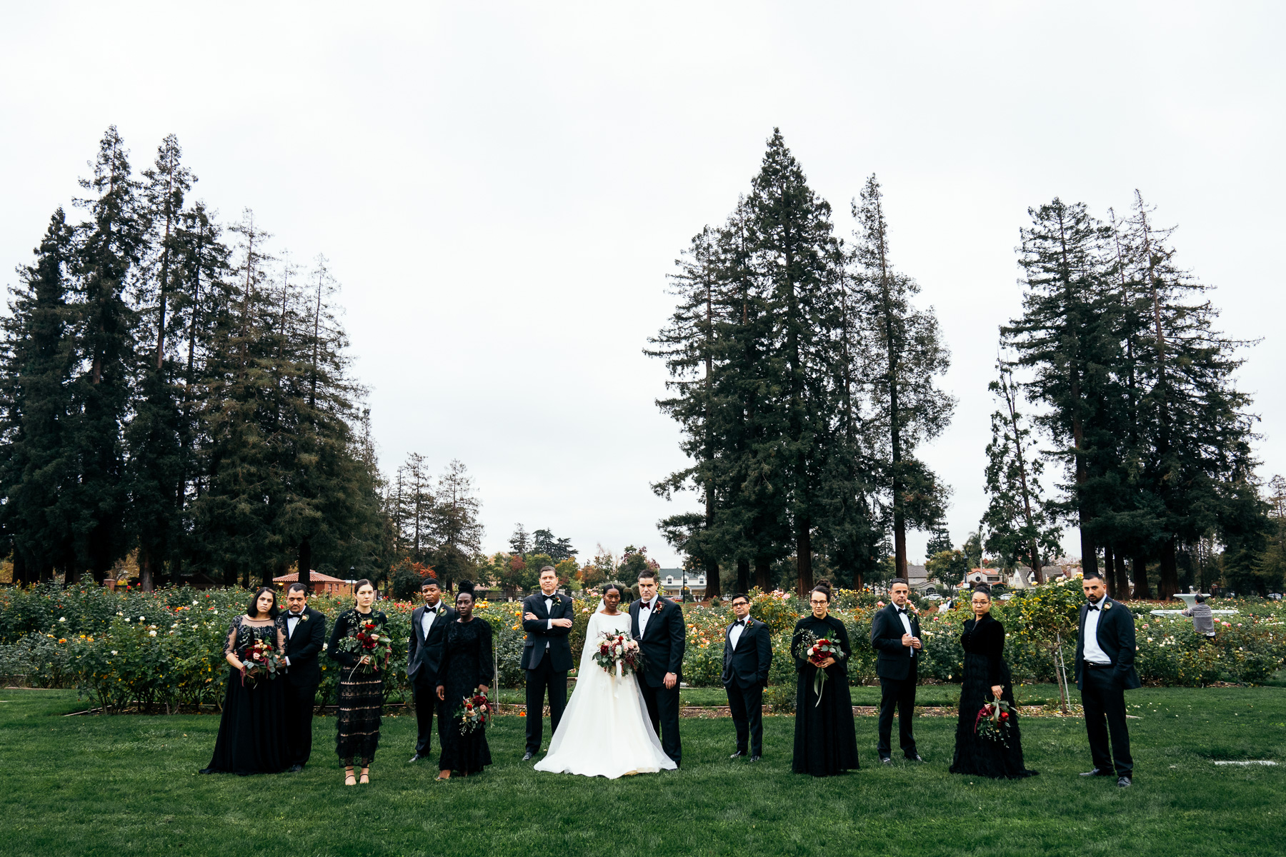 Wedding 7